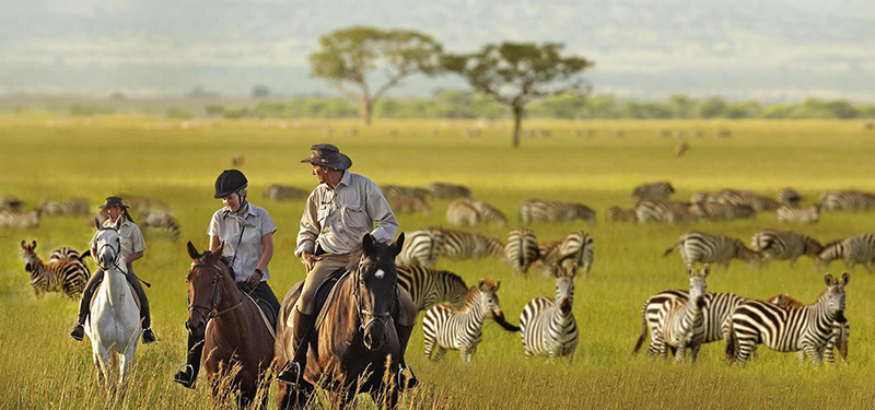 Serengeti - Park